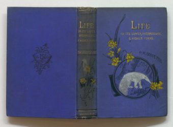 2015.10.29 - 422-Volume Rare Book Collection becomes an integral part of the American Bookbinders Museum