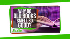 2017.04.11 - Why Do Old Books Smell So Good