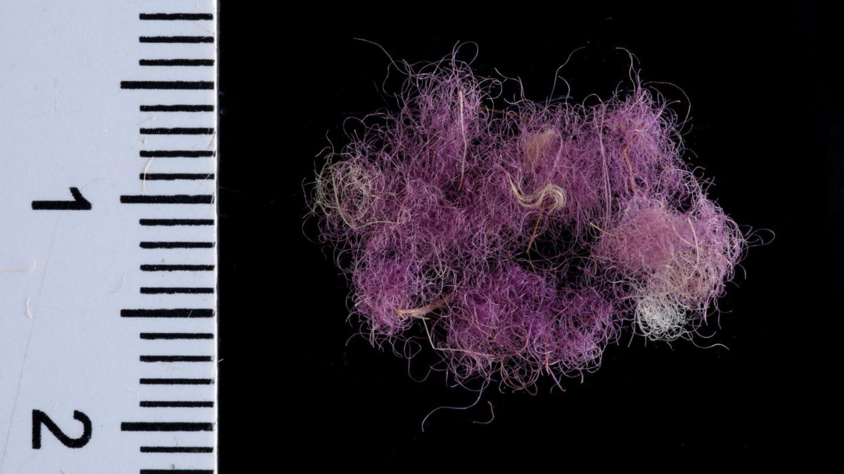 2021.04.30 - Royal Purple Dye Unearthed on Textile Fragments in Israel